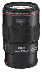 Canon EF 100mm f/2.8L Macro IS USM